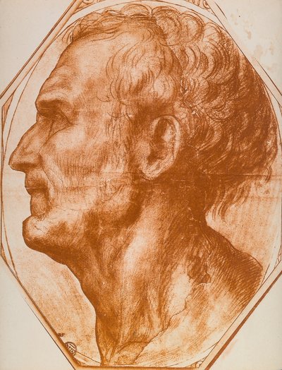 Study of a man